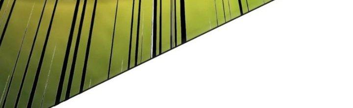 Bỉ Nhân Độc Tìm Đường Chết Chapter 9 - Trang 2