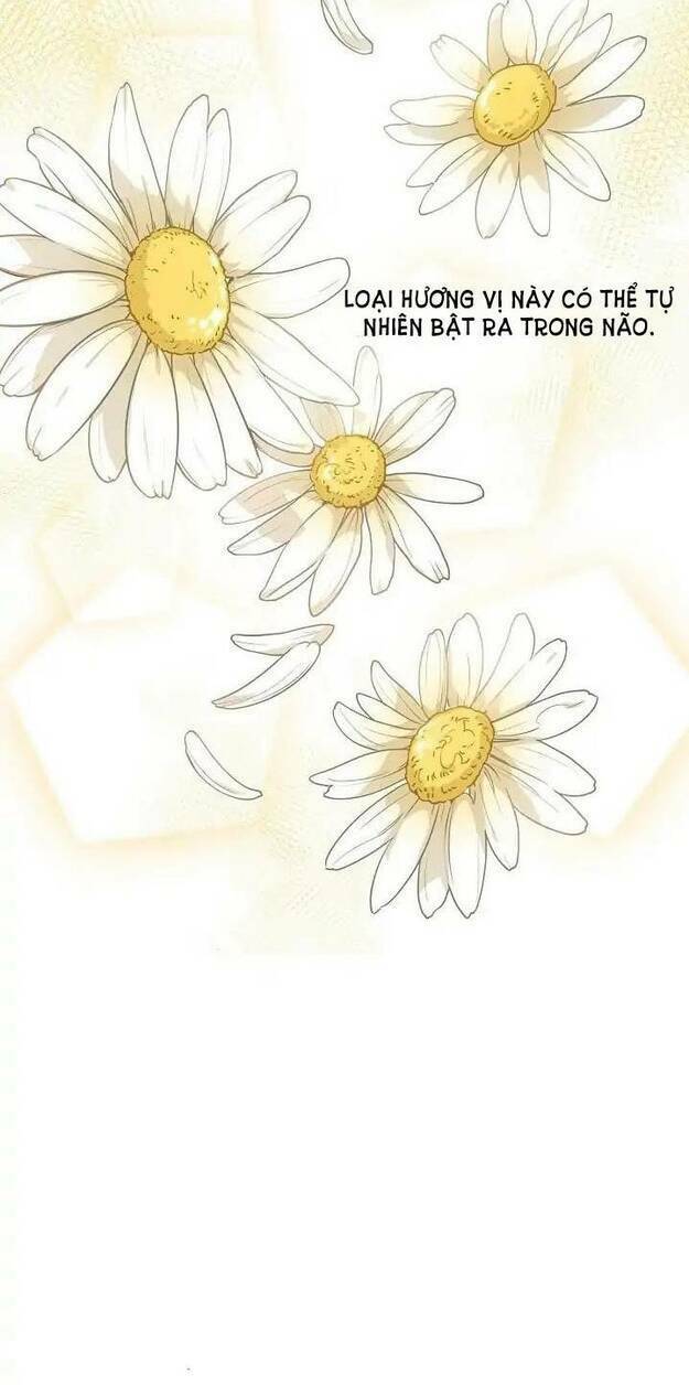 Bí Quyết Trà 50 Của Nữ Công Tước Chapter 12 - Trang 2