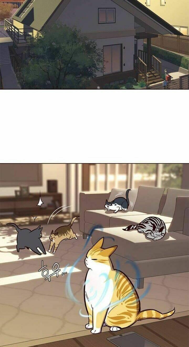 Biến Thân Thành Mèo Chapter 106 - Trang 2