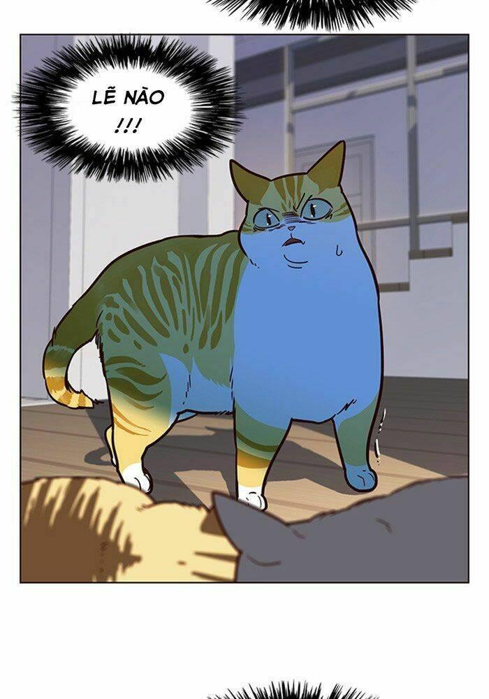 Biến Thân Thành Mèo Chapter 11 - Trang 2