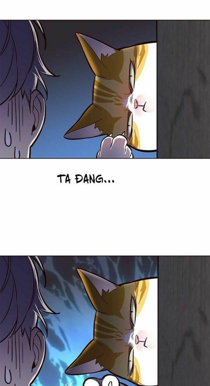 Biến Thân Thành Mèo Chapter 112 - Trang 2