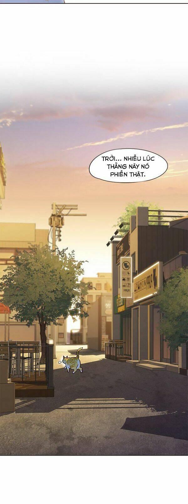 Biến Thân Thành Mèo Chapter 13 - Trang 2