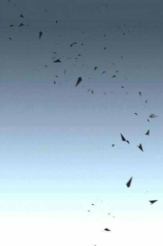 Biến Thân Thành Mèo Chapter 135 - Trang 2