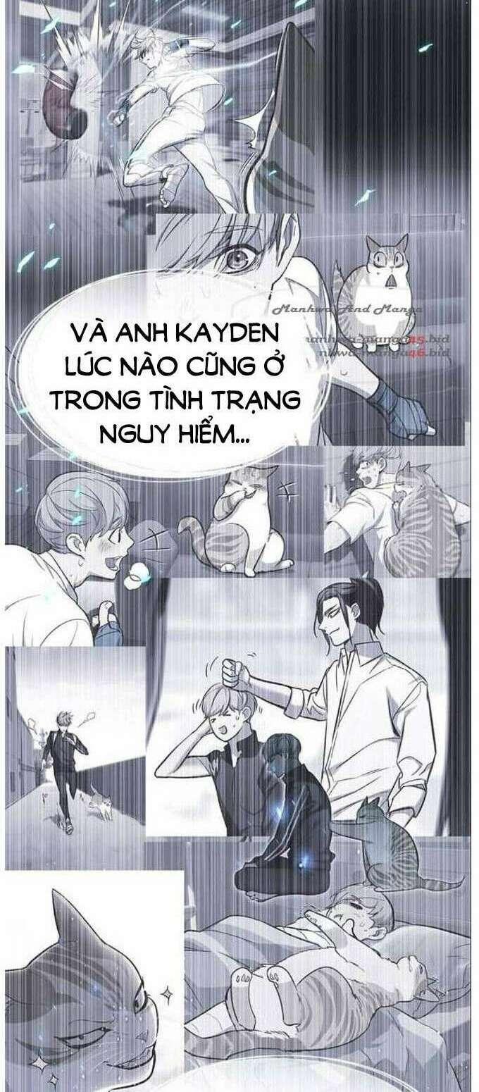 Biến Thân Thành Mèo Chapter 137 - Trang 2