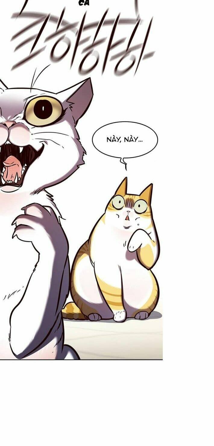 Biến Thân Thành Mèo Chapter 141 - Trang 2