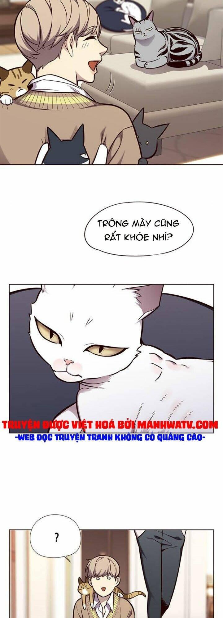 Biến Thân Thành Mèo Chapter 143 - Trang 2