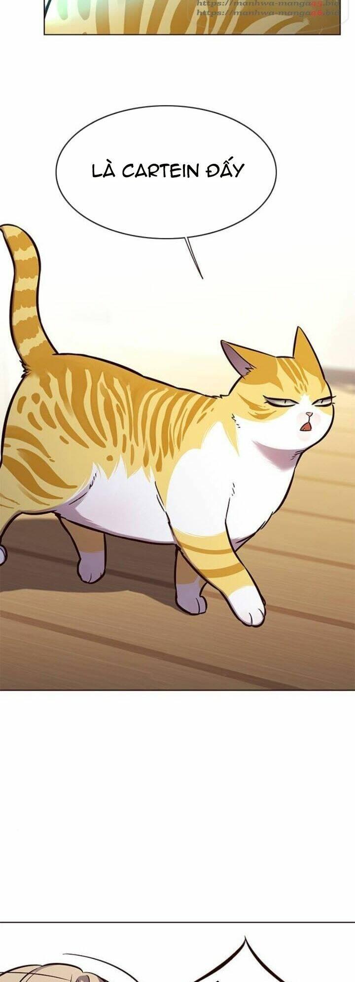 Biến Thân Thành Mèo Chapter 143 - Trang 2