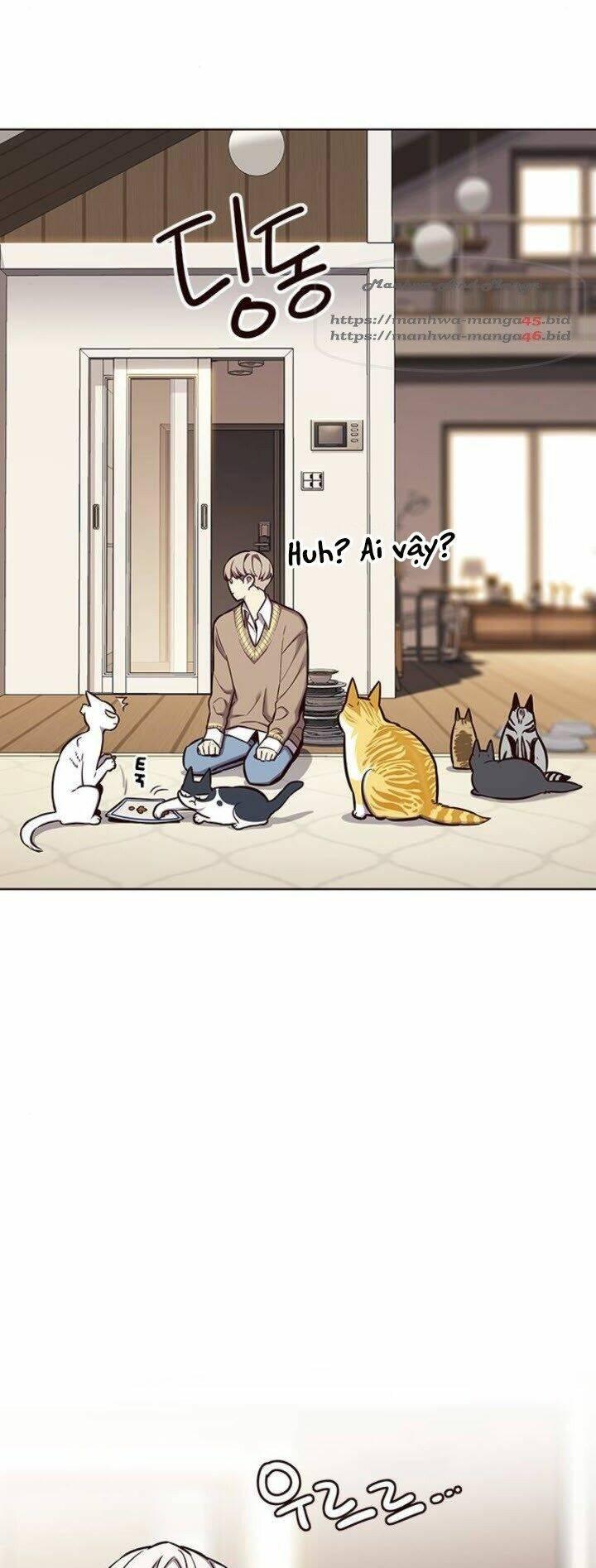 Biến Thân Thành Mèo Chapter 143 - Trang 2
