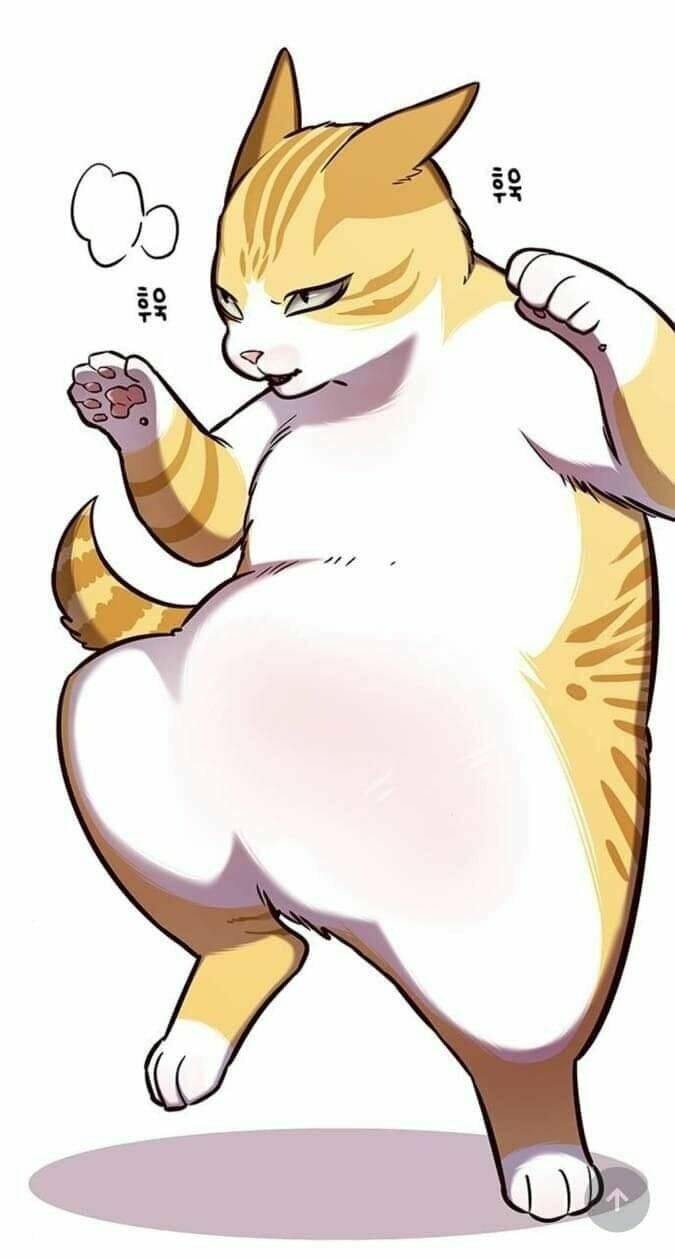 Biến Thân Thành Mèo Chapter 144 - Trang 2