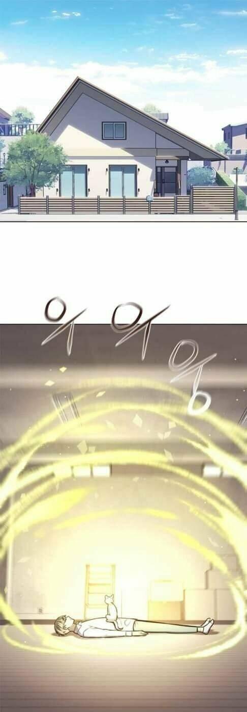 Biến Thân Thành Mèo Chapter 144 - Trang 2