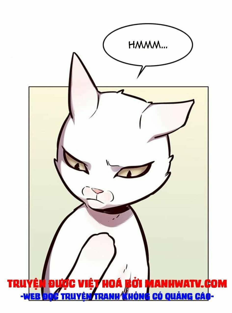 Biến Thân Thành Mèo Chapter 144 - Trang 2