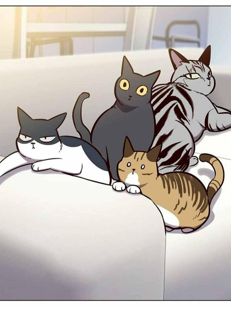 Biến Thân Thành Mèo Chapter 144 - Trang 2