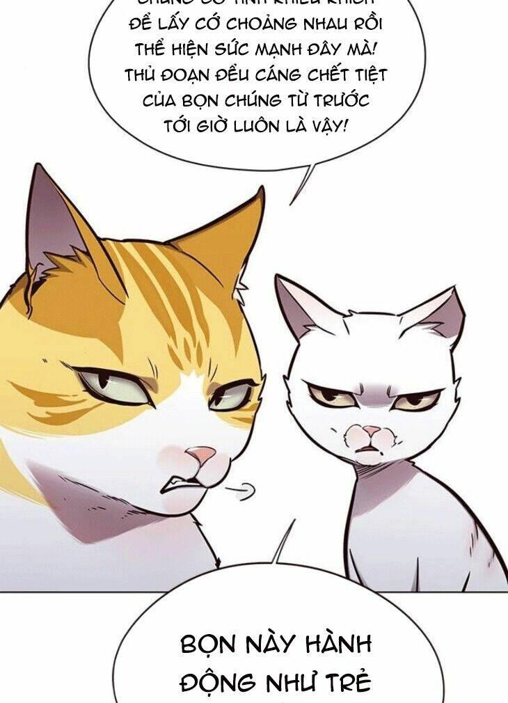 Biến Thân Thành Mèo Chapter 148 - Trang 2