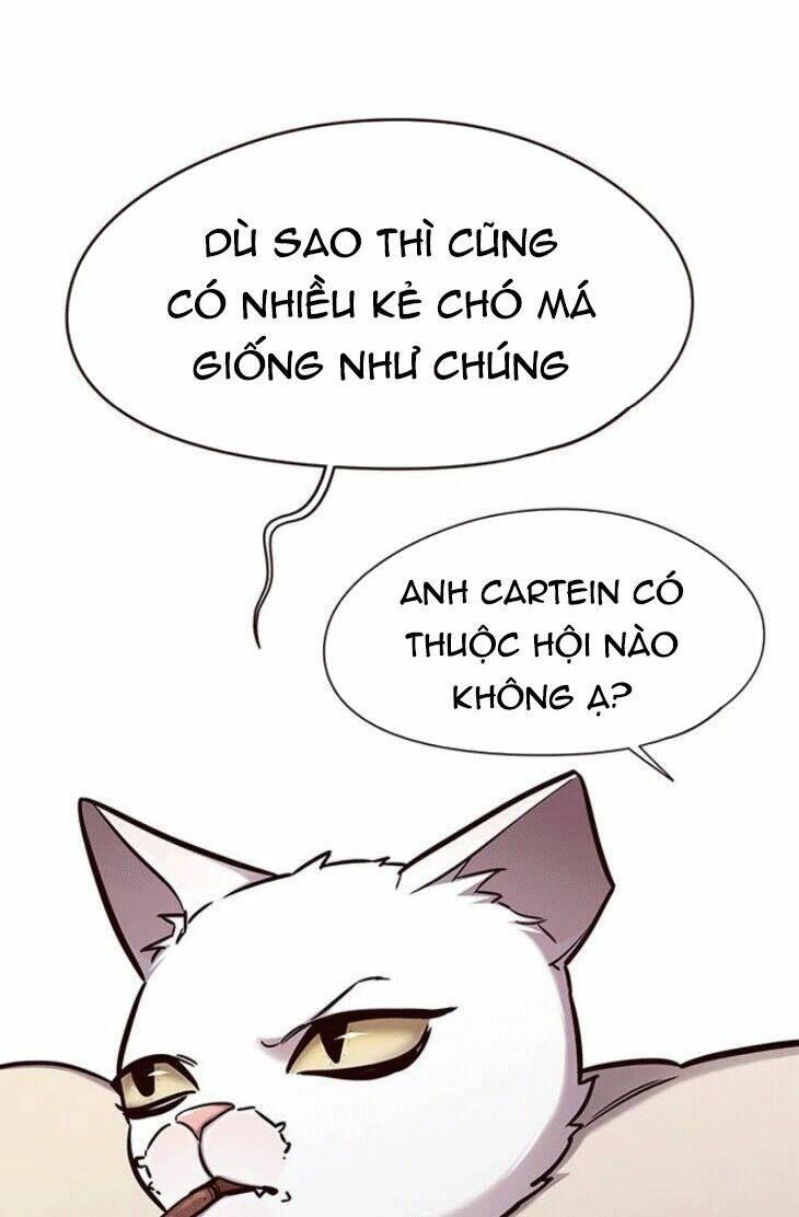 Biến Thân Thành Mèo Chapter 148 - Trang 2
