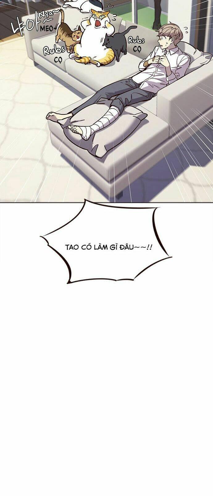 Biến Thân Thành Mèo Chapter 15 - Trang 2