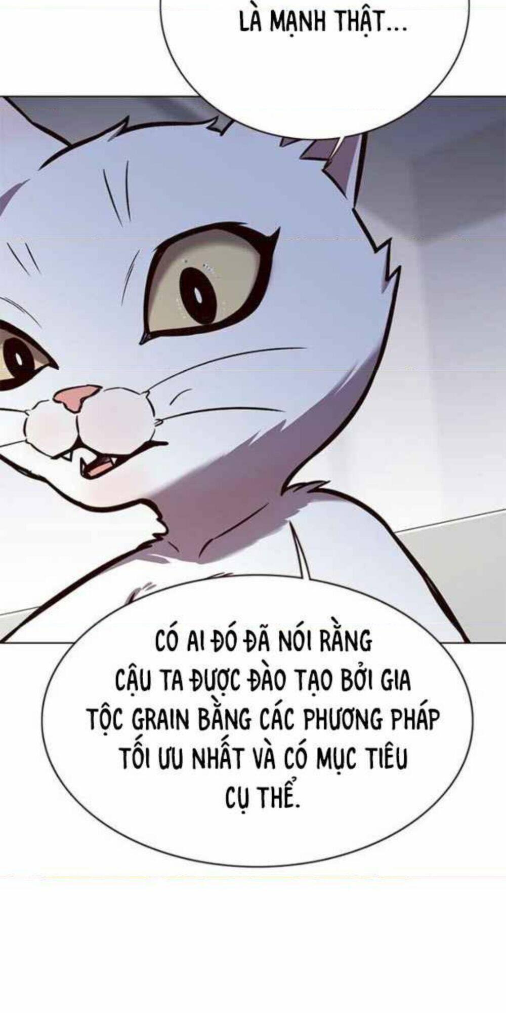 Biến Thân Thành Mèo Chapter 154 - Trang 2