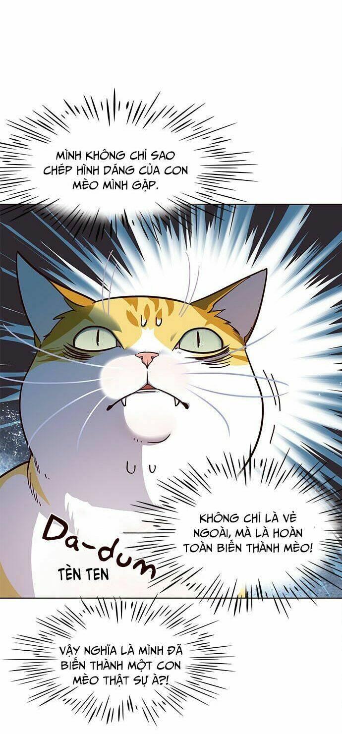Biến Thân Thành Mèo Chapter 16 - Trang 2
