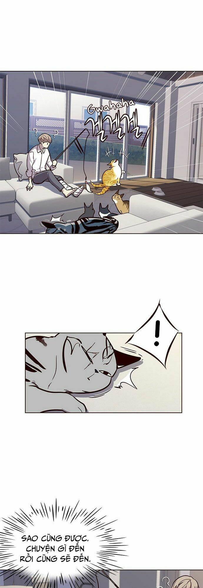 Biến Thân Thành Mèo Chapter 16 - Trang 2