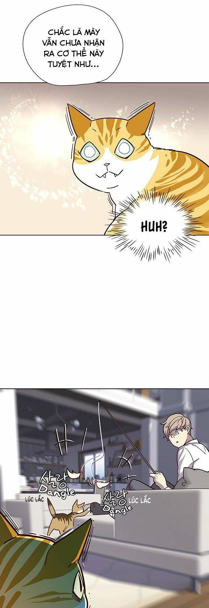 Biến Thân Thành Mèo Chapter 16 - Trang 2