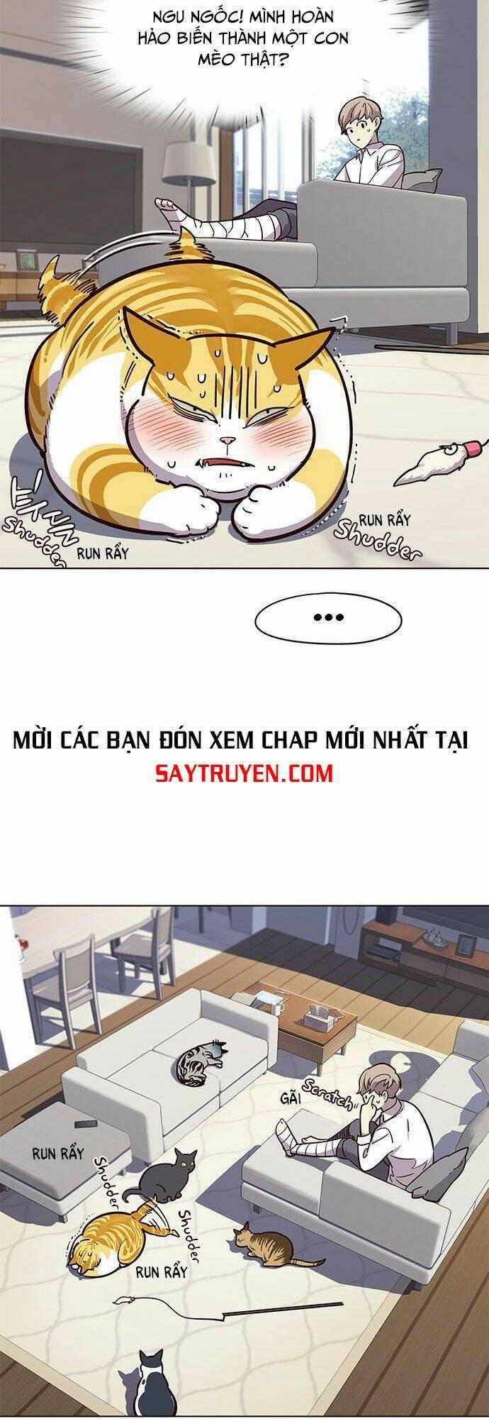 Biến Thân Thành Mèo Chapter 16 - Trang 2