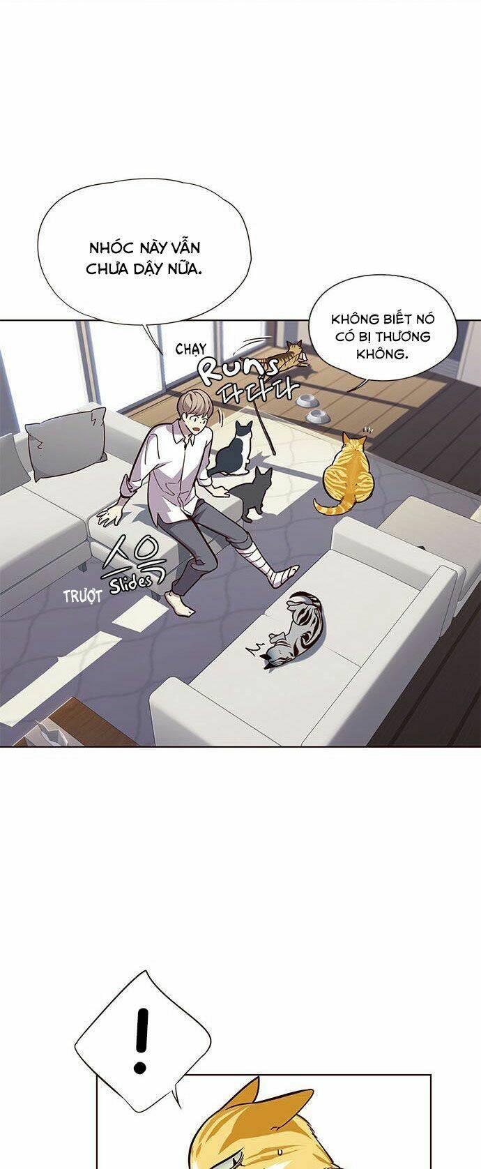 Biến Thân Thành Mèo Chapter 16 - Trang 2