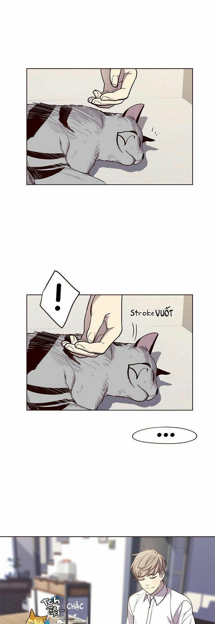 Biến Thân Thành Mèo Chapter 16 - Trang 2