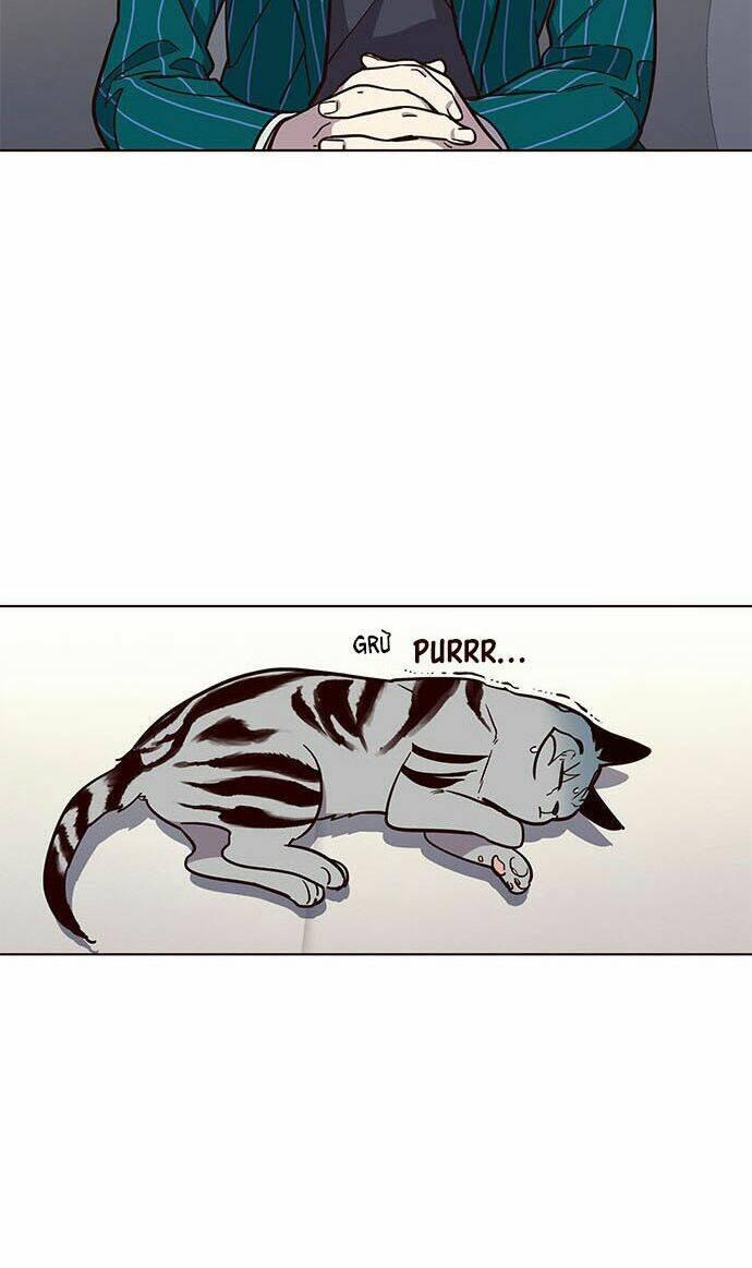 Biến Thân Thành Mèo Chapter 16 - Trang 2