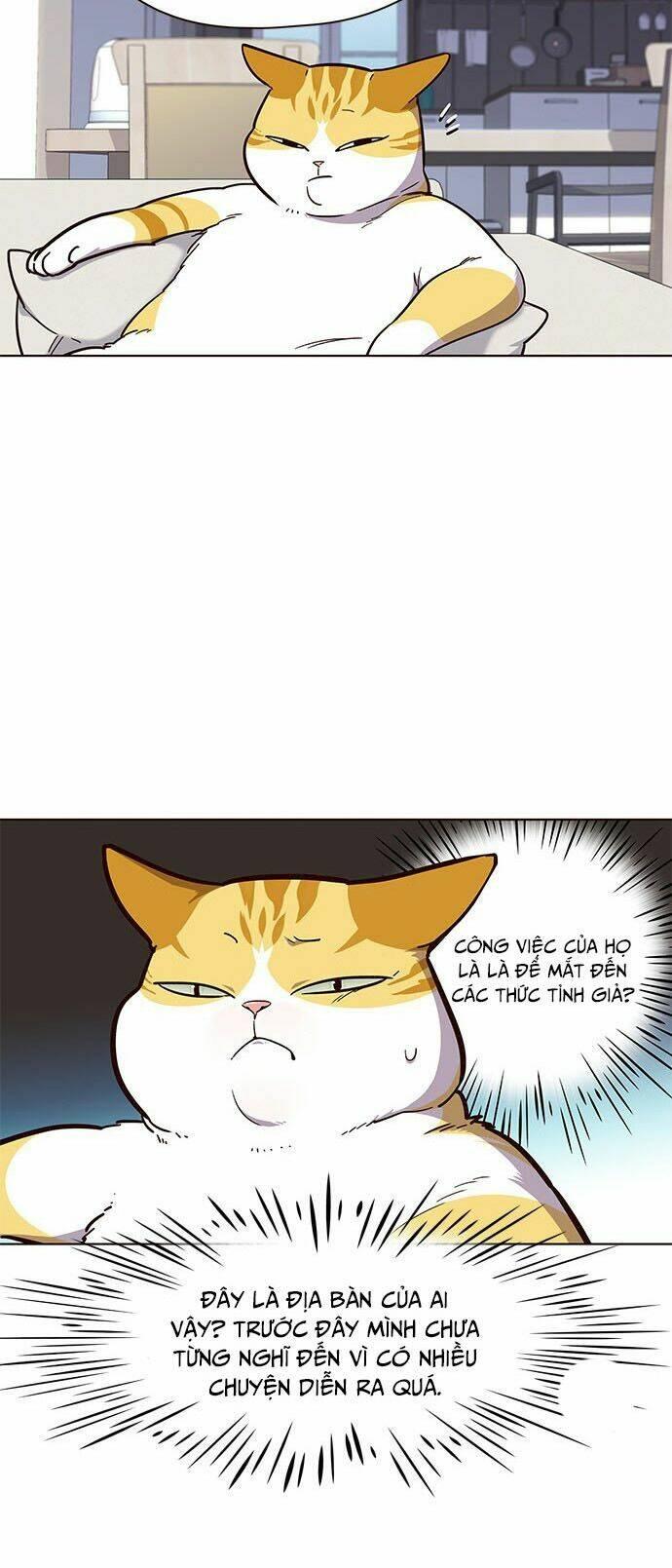 Biến Thân Thành Mèo Chapter 16 - Trang 2