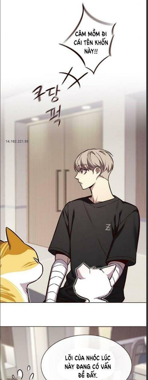 Biến Thân Thành Mèo Chapter 160 - Trang 2