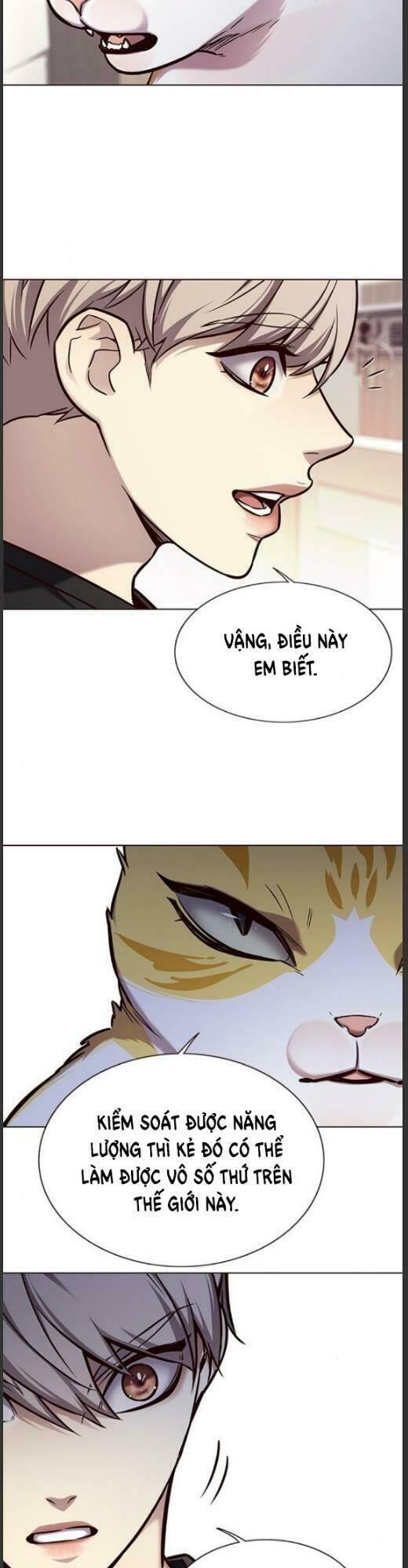 Biến Thân Thành Mèo Chapter 160 - Trang 2