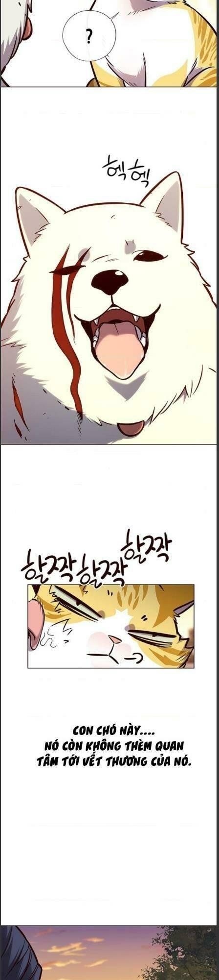 Biến Thân Thành Mèo Chapter 162 - Trang 2