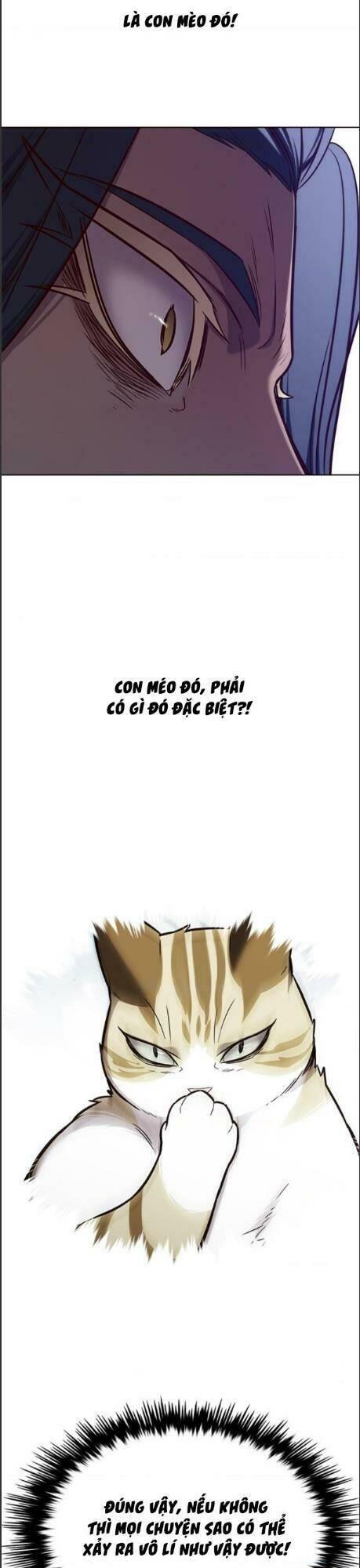 Biến Thân Thành Mèo Chapter 164 - Trang 2