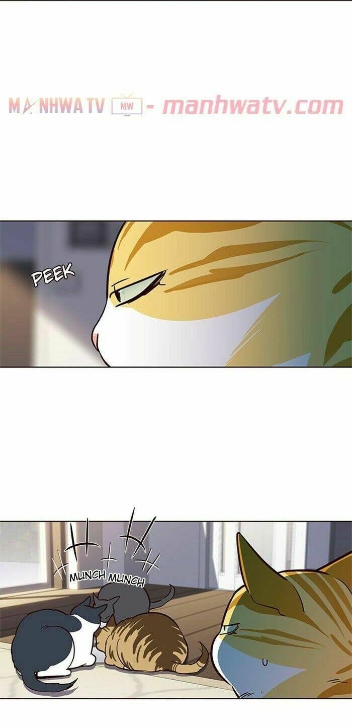 Biến Thân Thành Mèo Chapter 17 - Trang 2