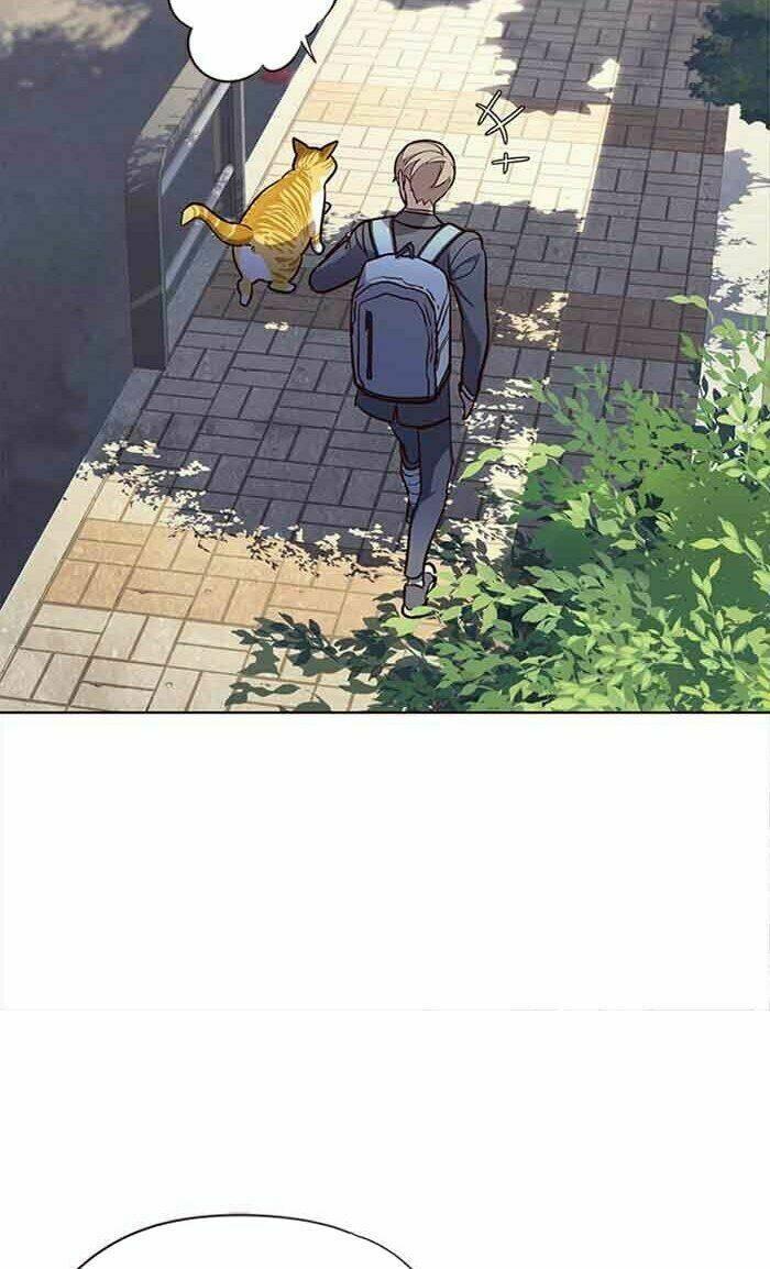 Biến Thân Thành Mèo Chapter 18 - Trang 2