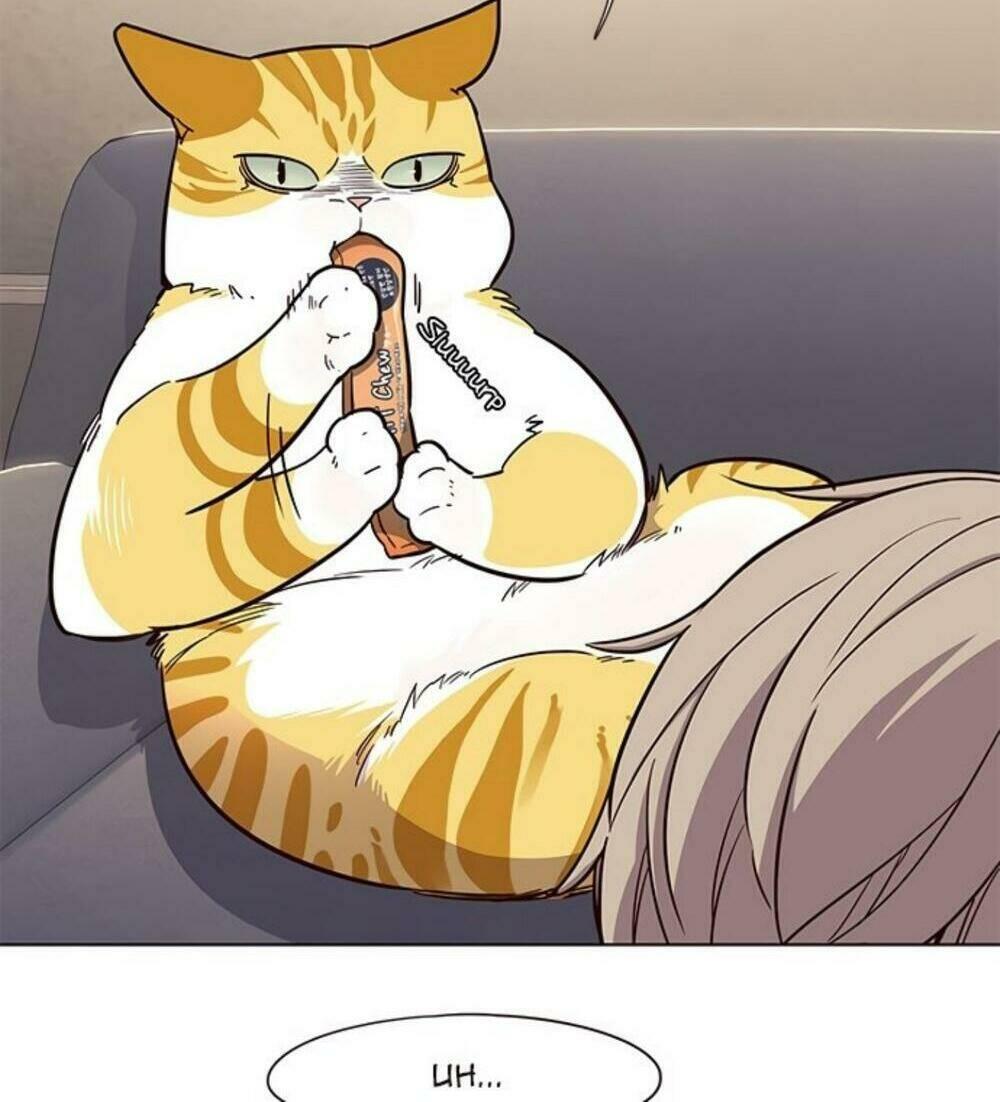 Biến Thân Thành Mèo Chapter 19 - Trang 2