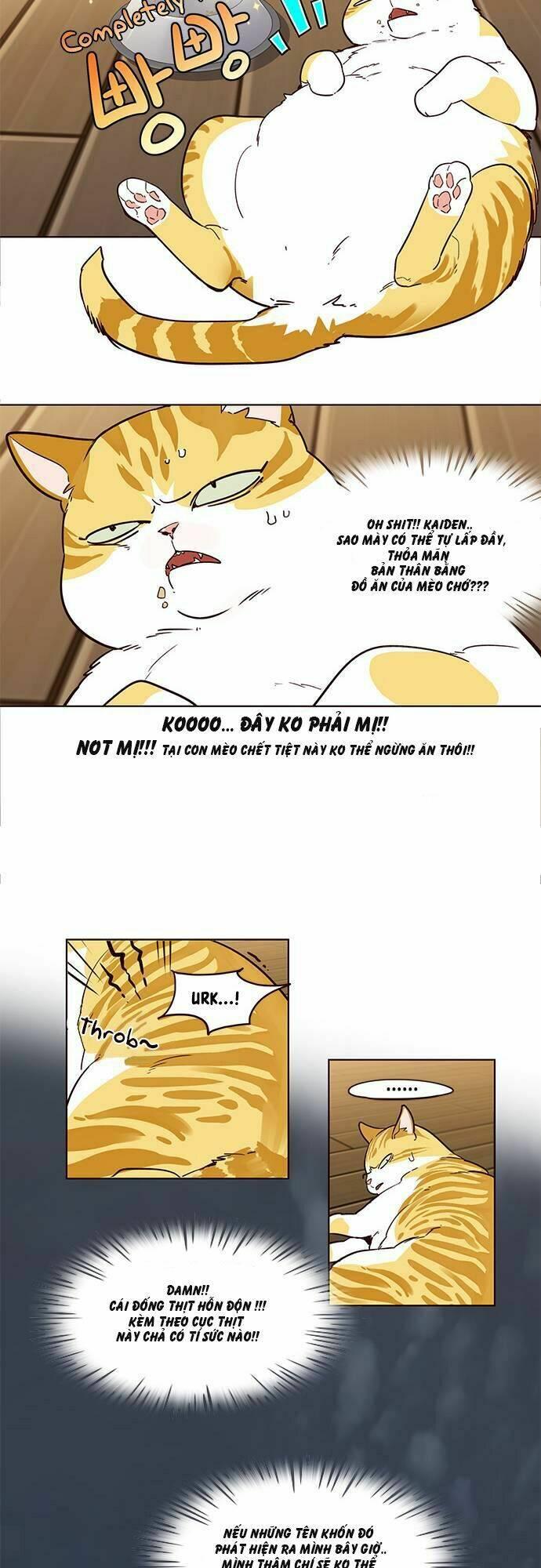 Biến Thân Thành Mèo Chapter 2 - Trang 2