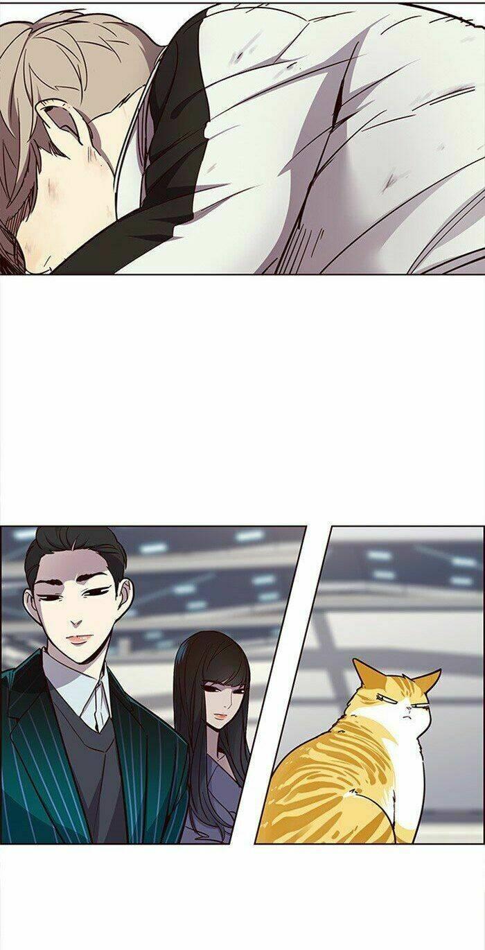 Biến Thân Thành Mèo Chapter 24 - Trang 2