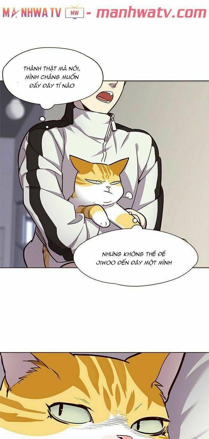 Biến Thân Thành Mèo Chapter 24 - Trang 2