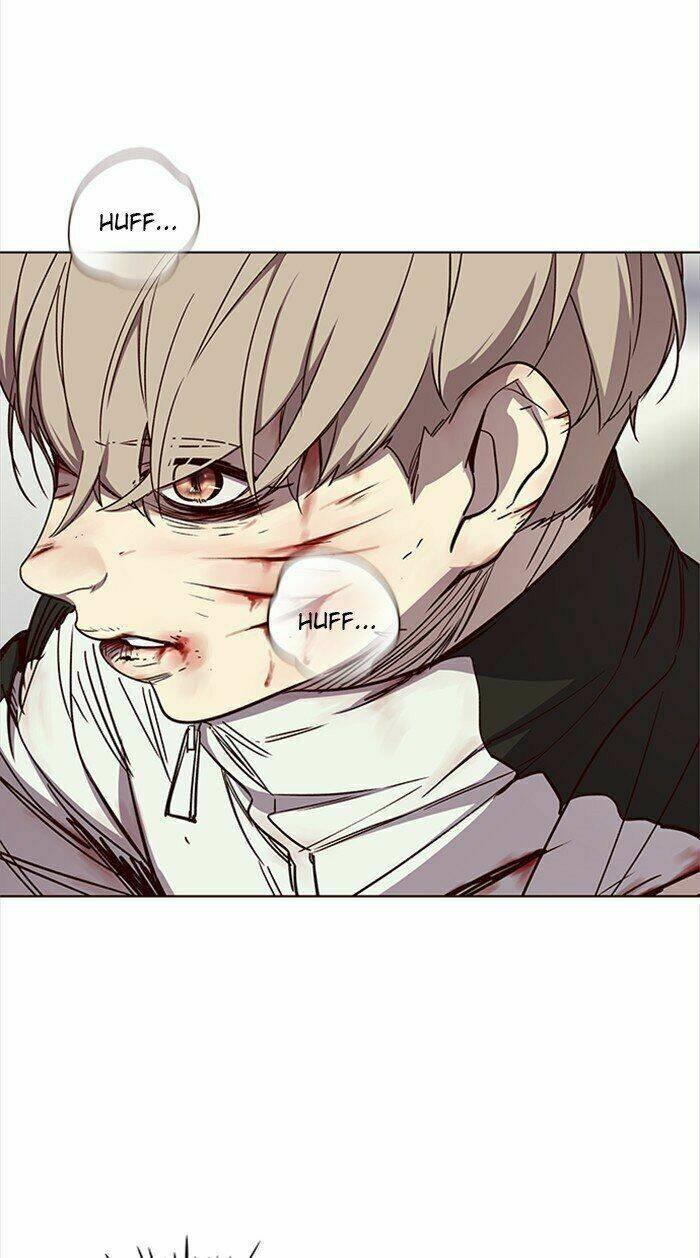 Biến Thân Thành Mèo Chapter 27 - Trang 2