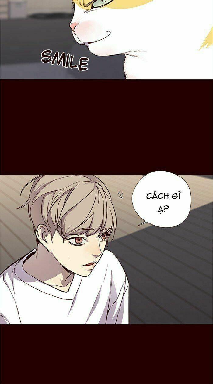 Biến Thân Thành Mèo Chapter 27 - Trang 2