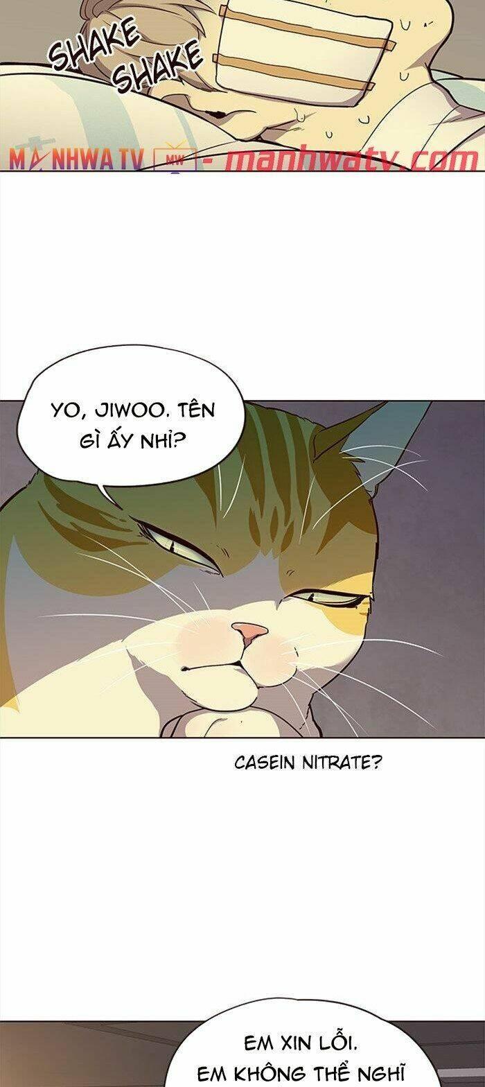 Biến Thân Thành Mèo Chapter 29 - Trang 2