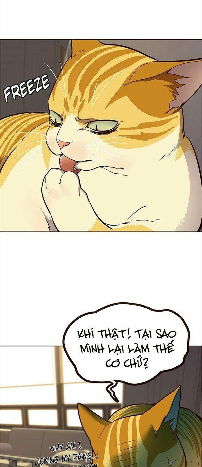 Biến Thân Thành Mèo Chapter 29 - Trang 2