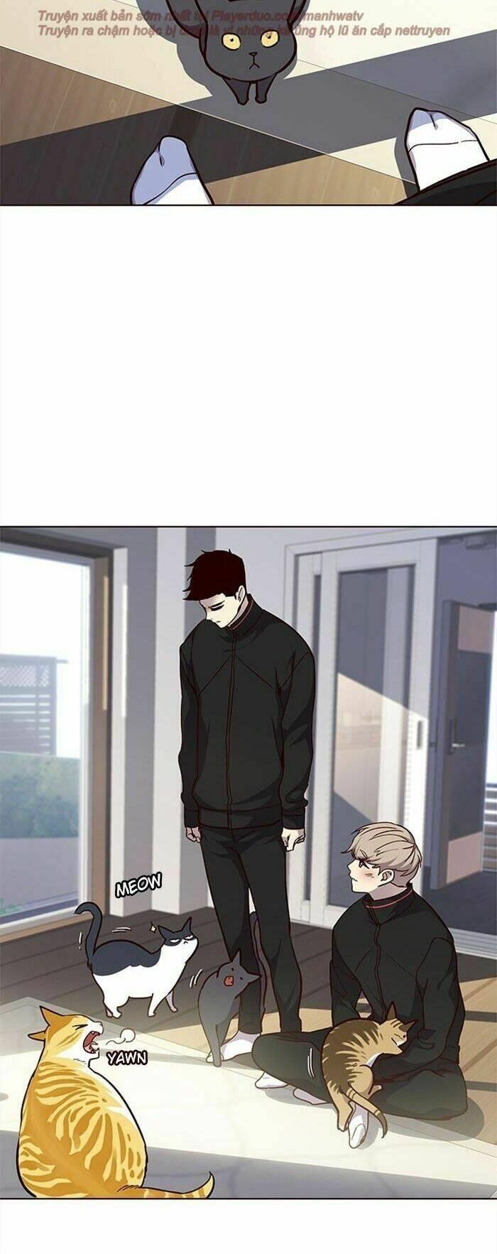 Biến Thân Thành Mèo Chapter 34 - Trang 2