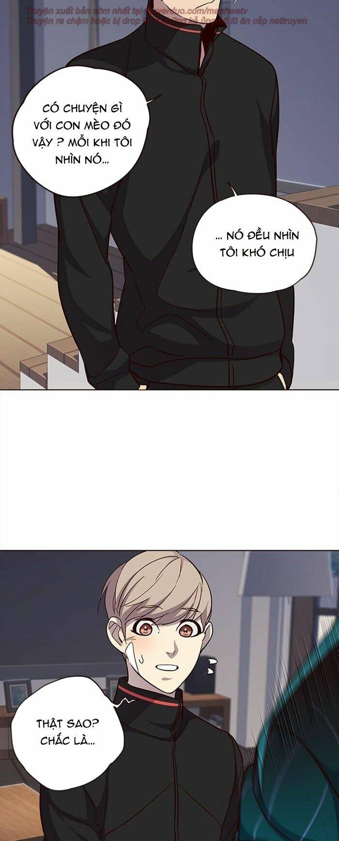 Biến Thân Thành Mèo Chapter 35 - Trang 2
