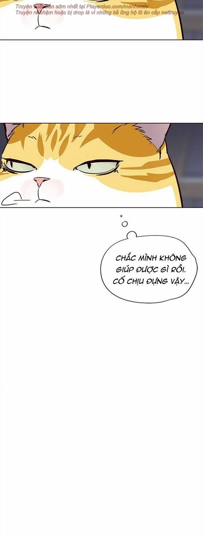 Biến Thân Thành Mèo Chapter 35 - Trang 2