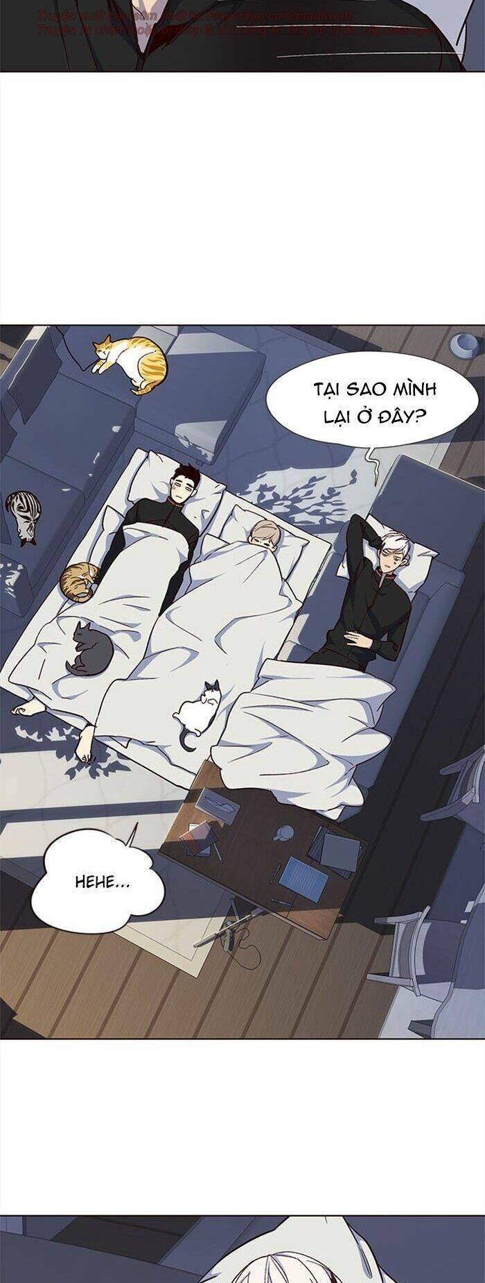 Biến Thân Thành Mèo Chapter 35 - Trang 2