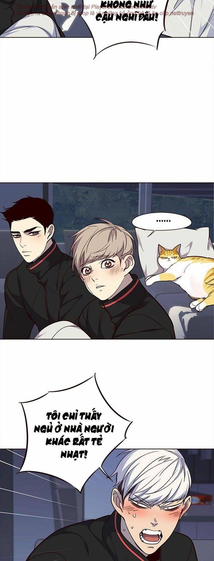 Biến Thân Thành Mèo Chapter 35 - Trang 2