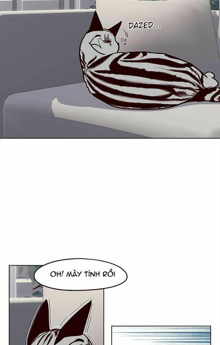 Biến Thân Thành Mèo Chapter 37 - Trang 2