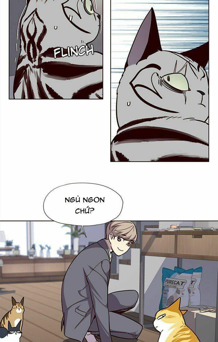 Biến Thân Thành Mèo Chapter 37 - Trang 2