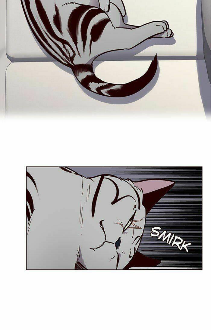 Biến Thân Thành Mèo Chapter 37 - Trang 2